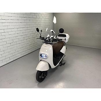 Electric scooter Wayel W2